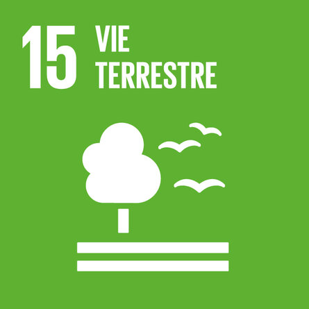 Carré vert clair pour l'ODD 15. Pictogramme représentant un arbre et des oiseaux, avec le titre « Vie terrestre ».