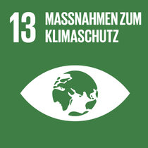 Grünes Quadrat zum SDG 13. Darin Piktogramm eines Auges, mit der Erde im Zentrum, übertitelt mit «13 Massnahmen zum Klimaschutz».
