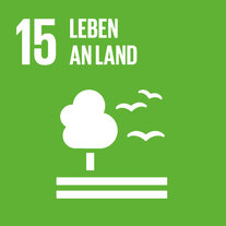 Hellgrünes Quadrat zum SDG 15. Darin Piktogramm eines Baums und Vögeln, übertitelt mit «15 Leben an Land». 