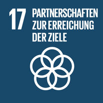 Dunkelblaues Quadrat zum SDG 17. Darin Piktogramm einer aus fünf Kreisen bestehenden Rosette, übertitelt mit «17 Partnerschaften zur Erreichung der Ziele».