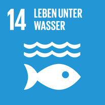 Blaues Quadrat zum SDG 14. Darin Piktogramm eines Fisches, übertitelt mit «14 Leben unter Wasser».